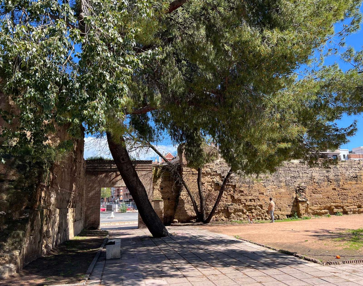 Rainy days and Mondays / Días lluviosos y los lunes