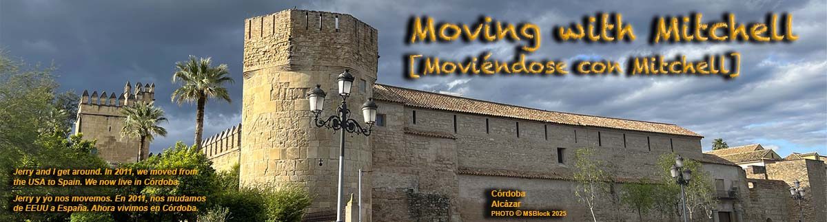 Moving with Mitchell