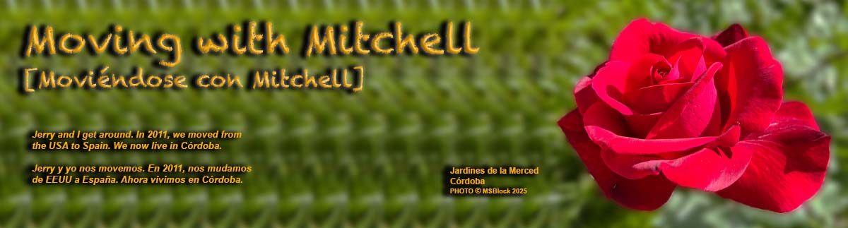 Moving with Mitchell