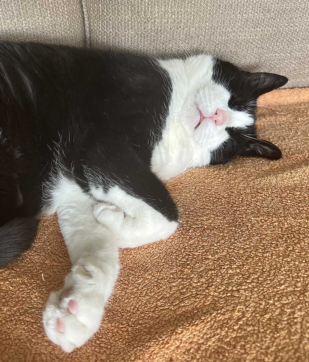 When on a slippery slope, build a terrace / Cuando esté en una pendiente resbaladiza, construya una terraza