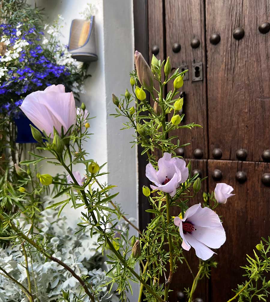 I get around / Doy vueltas