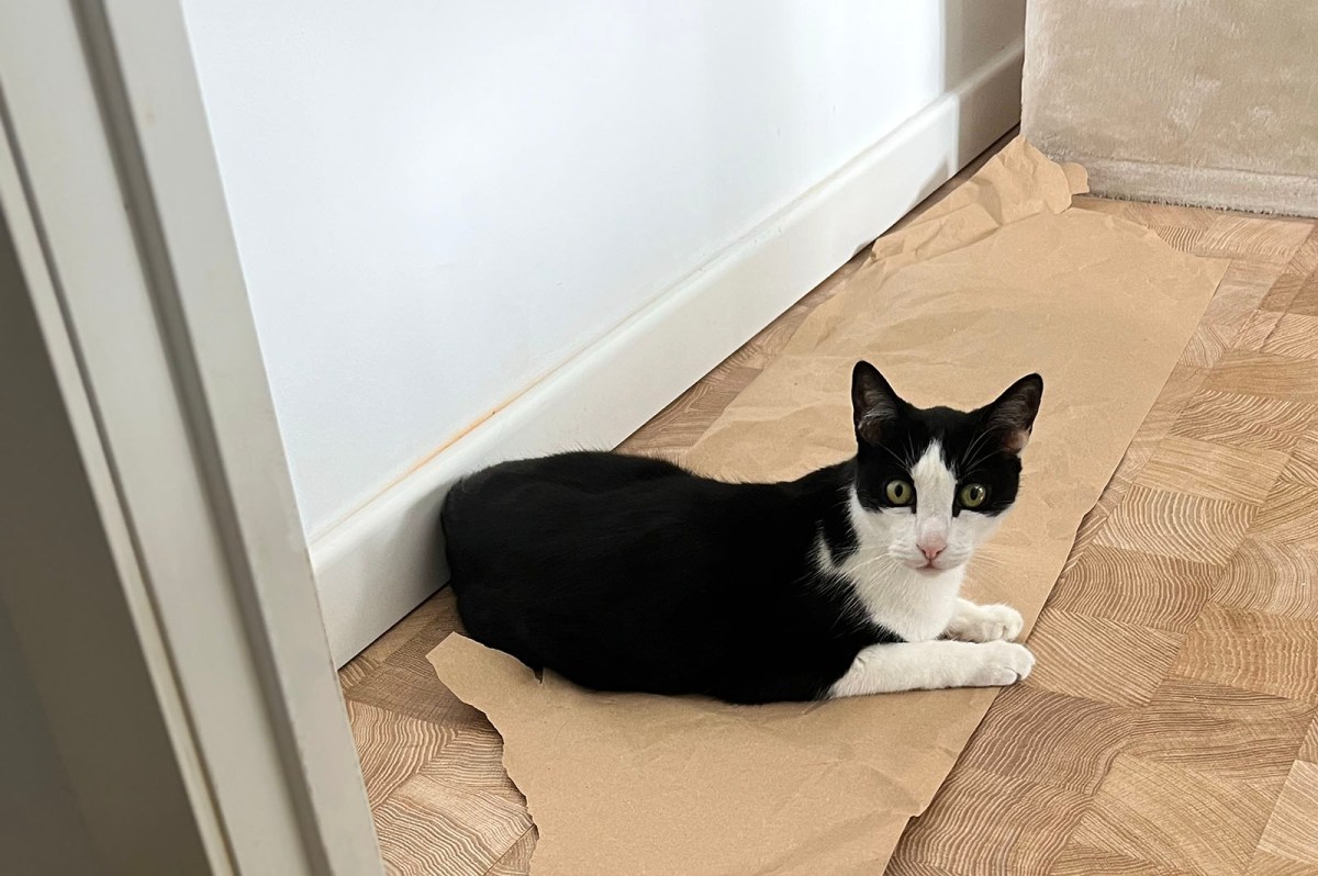 How we do things / Como hacemos las cosas