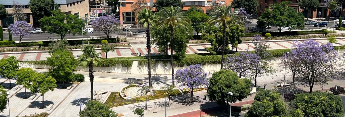 Trees and Flowers / Arboles y Flores