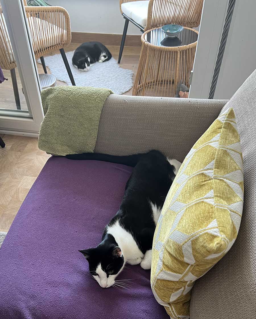 Take me to the fair / Llévame a la feria