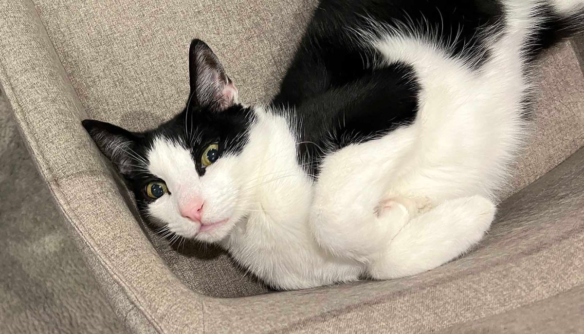 A little bit of that / Un poquito de eso