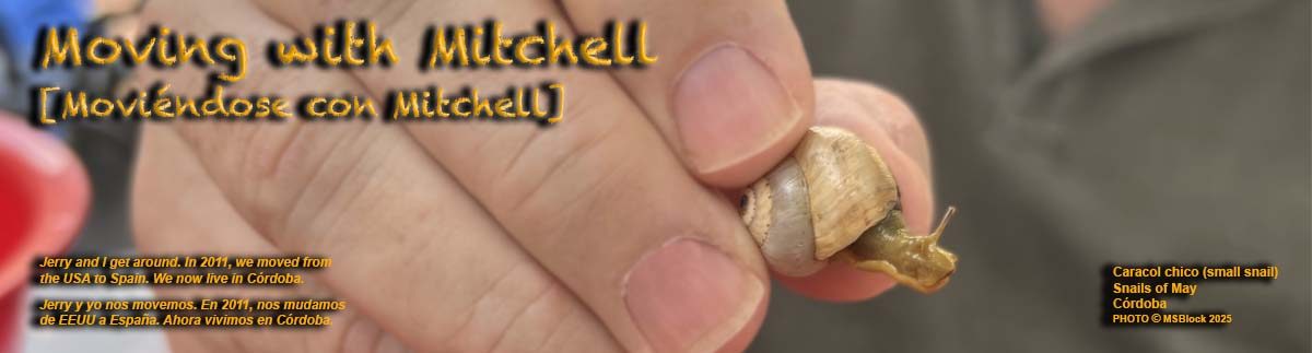 Moving with Mitchell