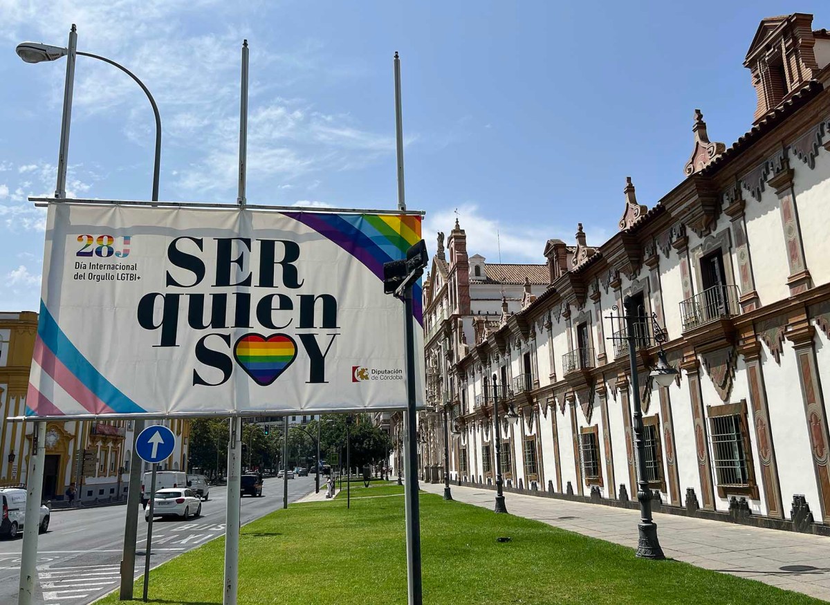 Nice set, but small / Lindo conjunto, pero pequeño