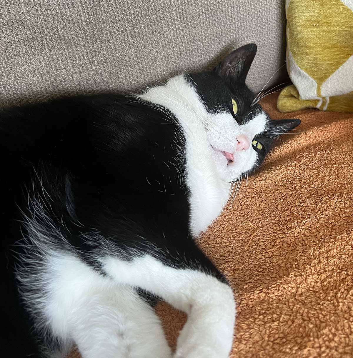 Ours will still be hot / La nuestra todavía estará caliente