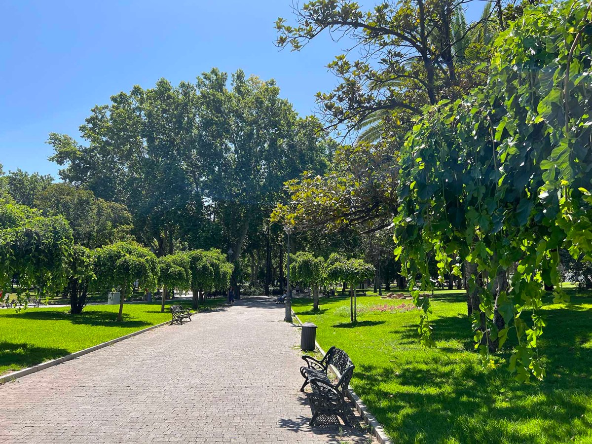 Duck cat noodle / Pato gato fideos