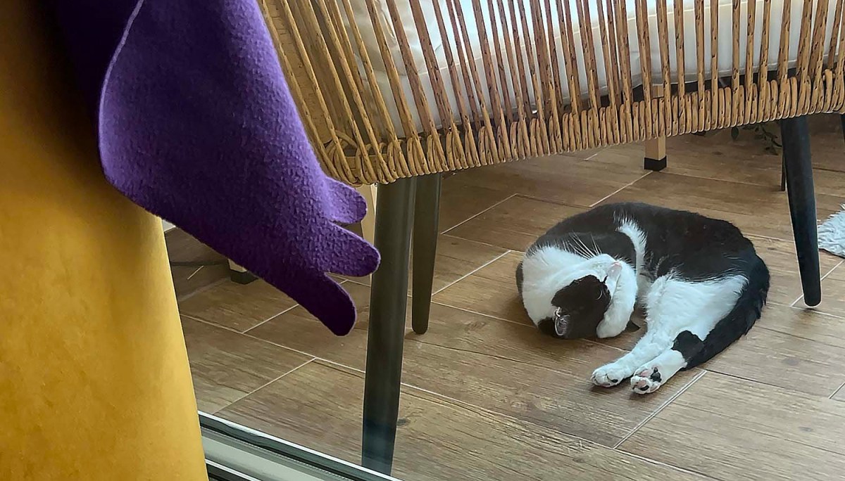 A pool and a creamer / Una piscina y un cremero