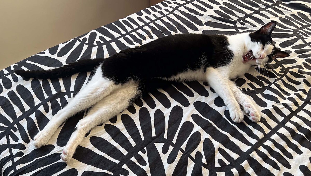 Drugs and bad packaging / Drogas y mal embalaje