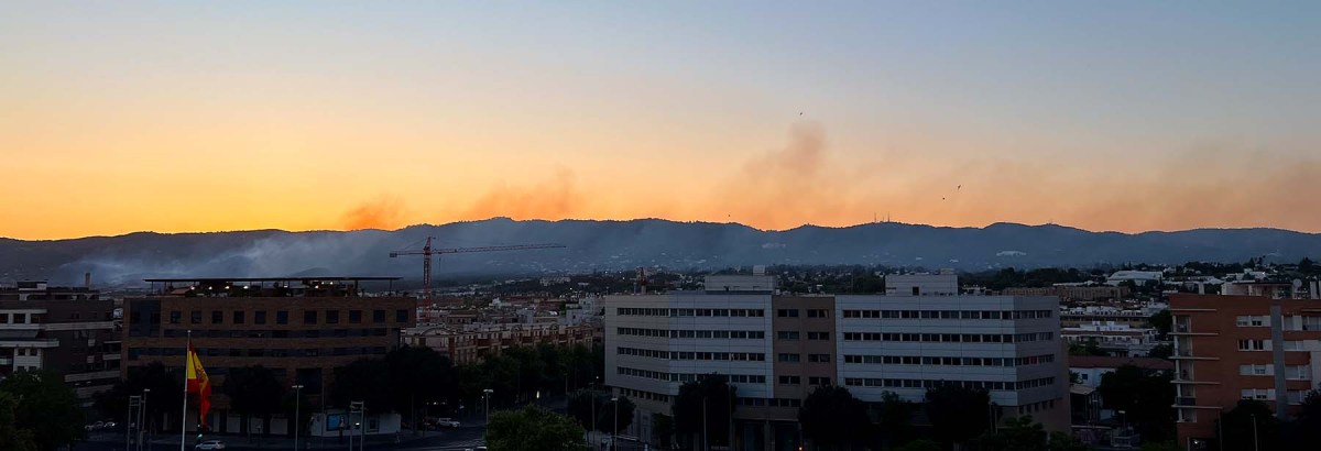 If a tree falls next to the palace / Si un árbol cae al lado del palacio