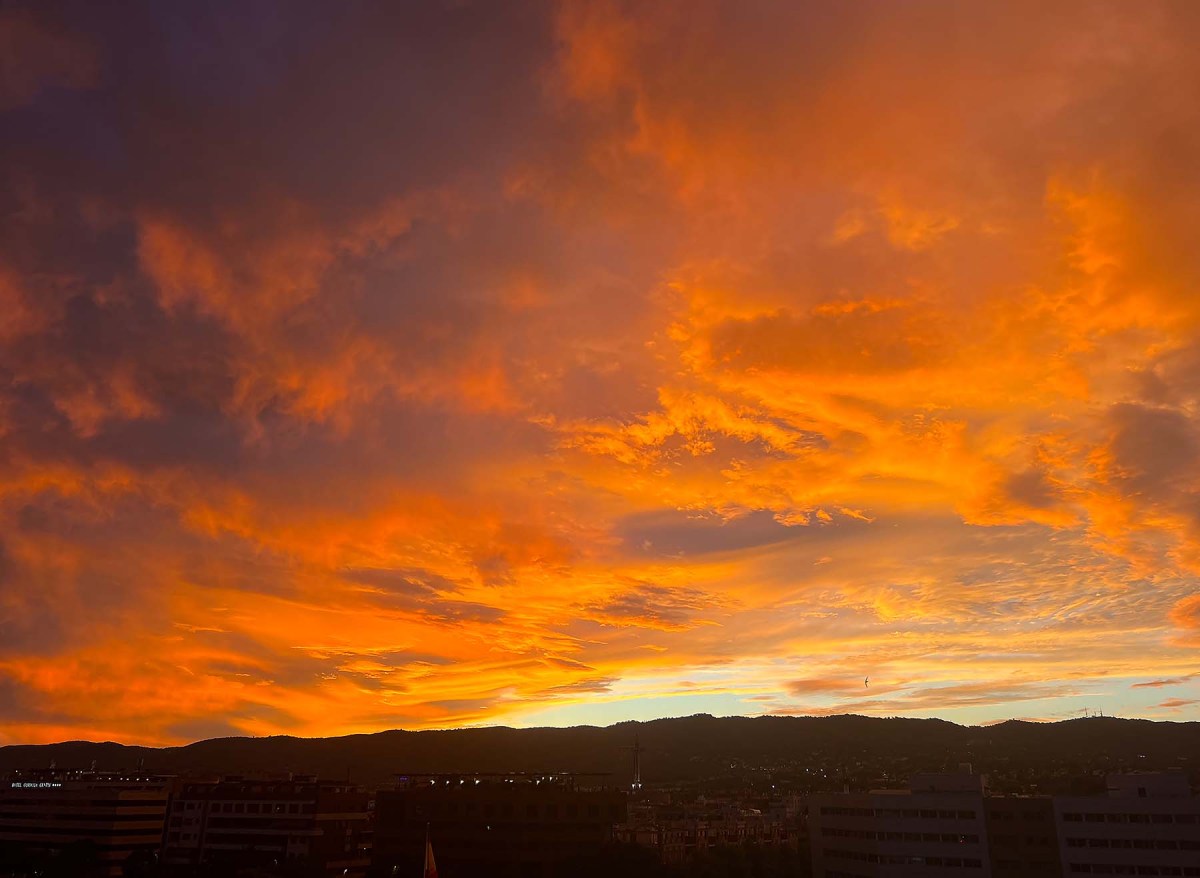 Toad skin cruising at sunset / Crucero de piel de sapo al atardecer