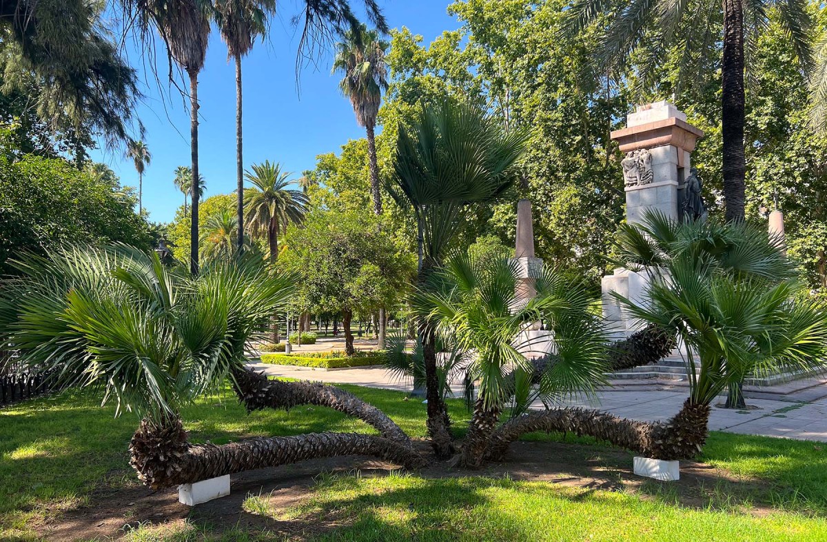 Geyser, gardens, sanitary / Géiser, jardines, sanitario