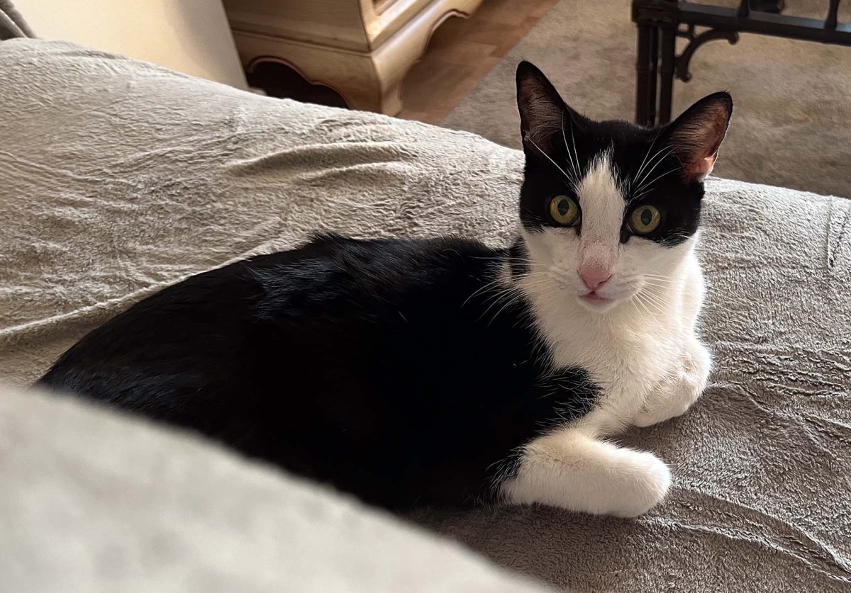 But I’m here / Pero estoy aquí