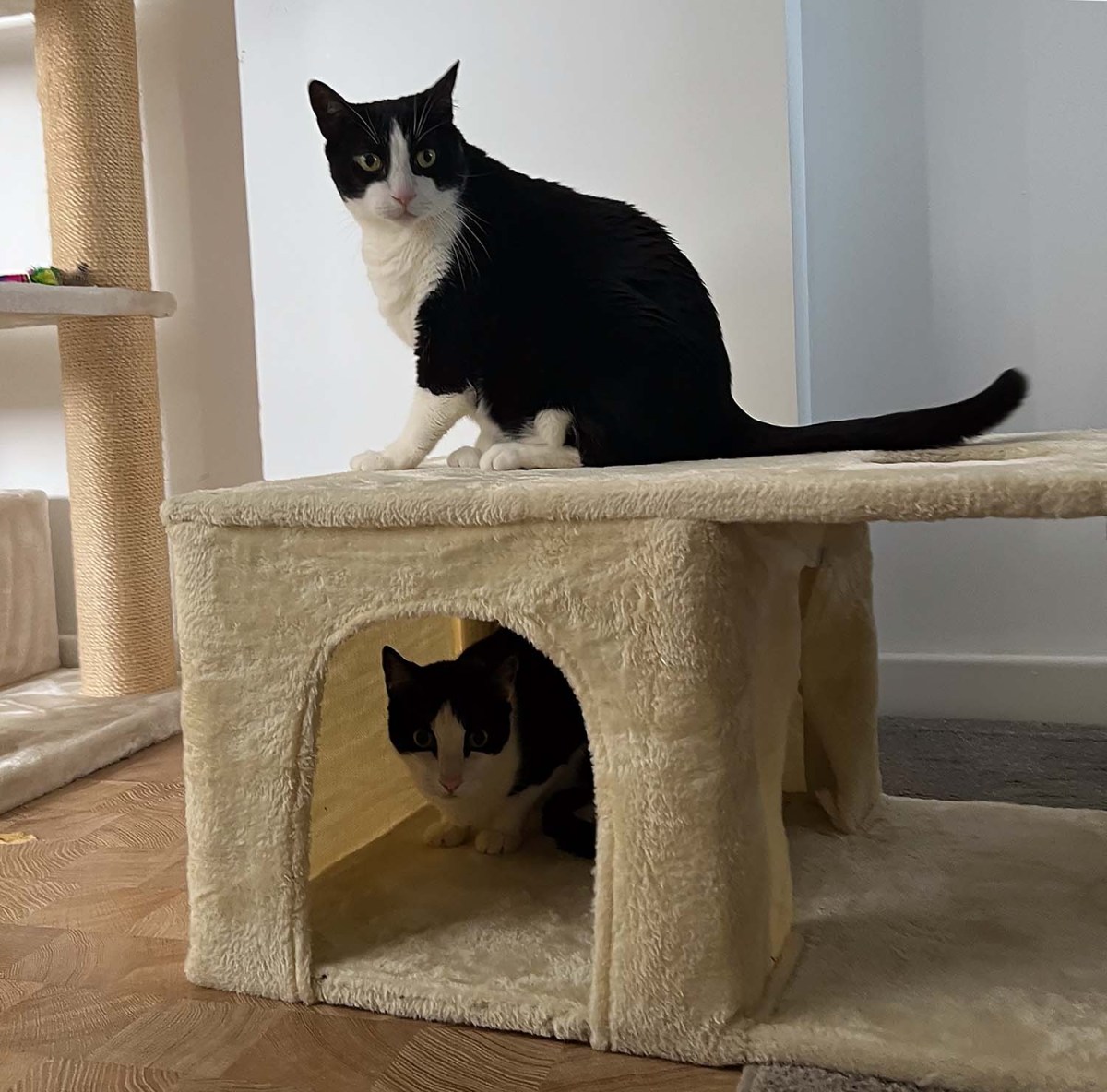 A new condo / Un nuevo condominio