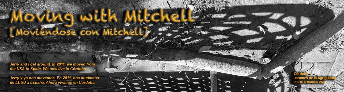 Moving with Mitchell