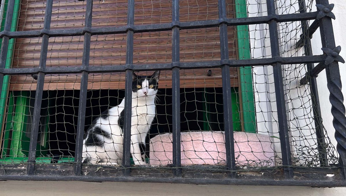 Take a number, or not / Tome un número, o no lo haga