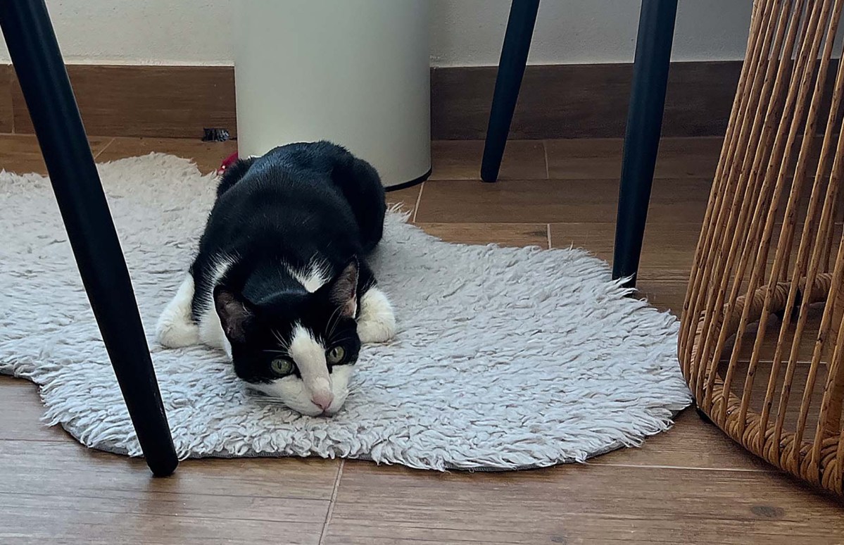 Clouds in my coffee / Nubes en mi café