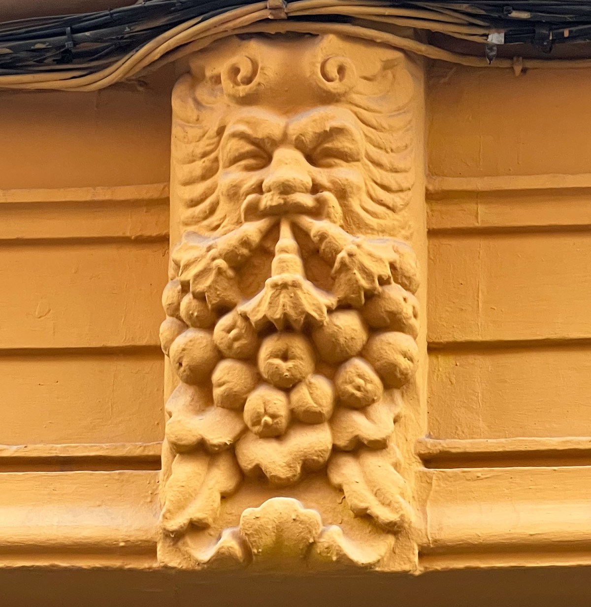 Half corn, fake nails, bonsai, cursed clothespin / Medio maíz, uñas postizas, bonsái, pinza de ropa maldita