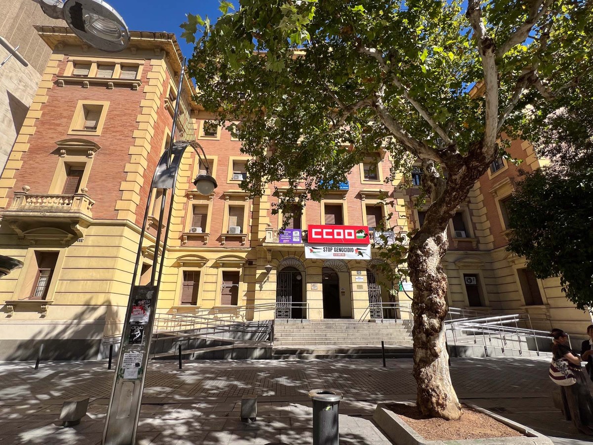 Nameless titi lady of the night / Dama de la noche sin nombre titi