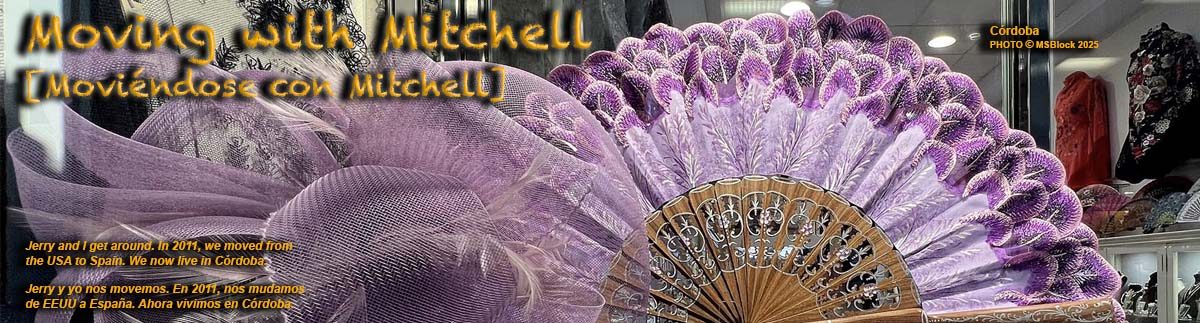 Moving with Mitchell