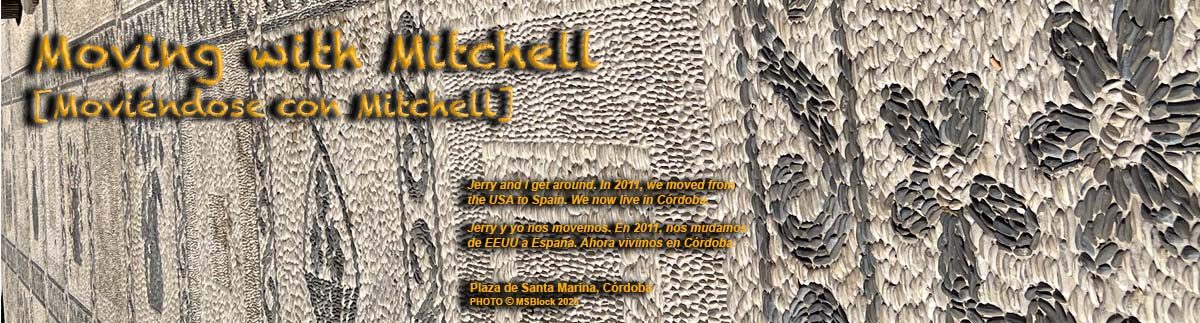 Moving with Mitchell