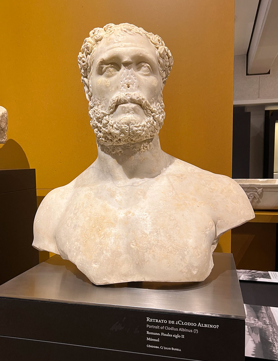 Shame about the face / Lástima la cara