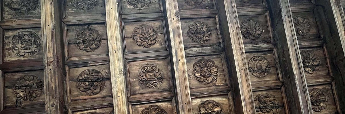 Among the ruins / Entre las ruinas