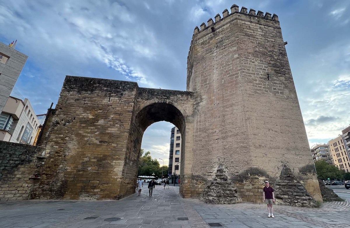 Colt, sugar, shadow, chic / Potro, azúcar, sombra, chic