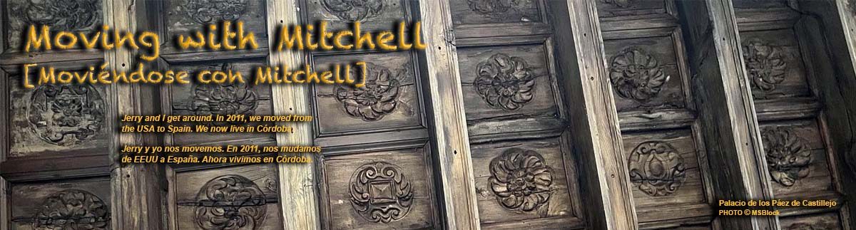 Moving with Mitchell