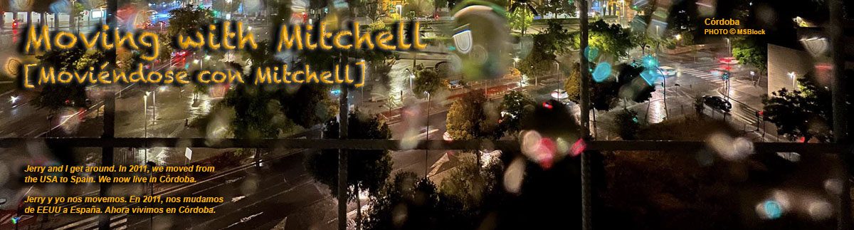 Moving with Mitchell