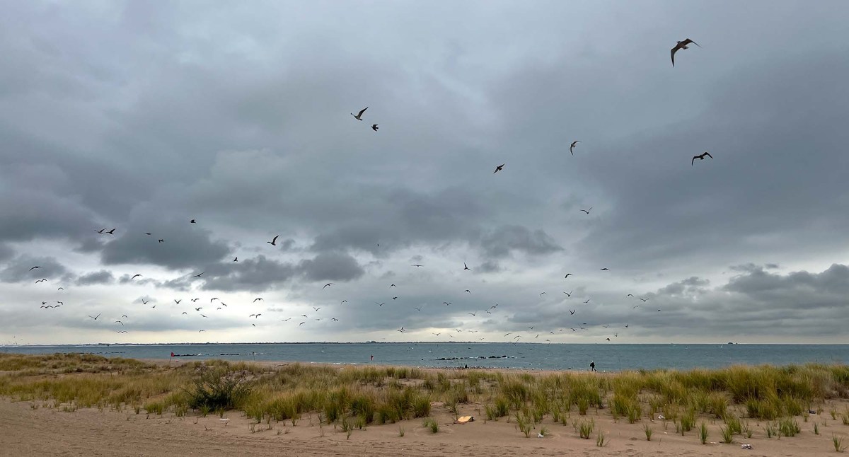 Baloney on a roll / Salchichón en rollo