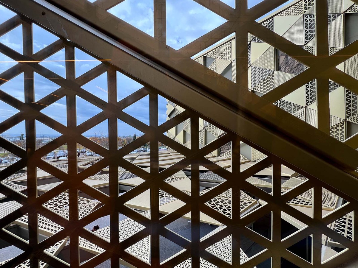 Op art and cats / Arte óptico y gatos