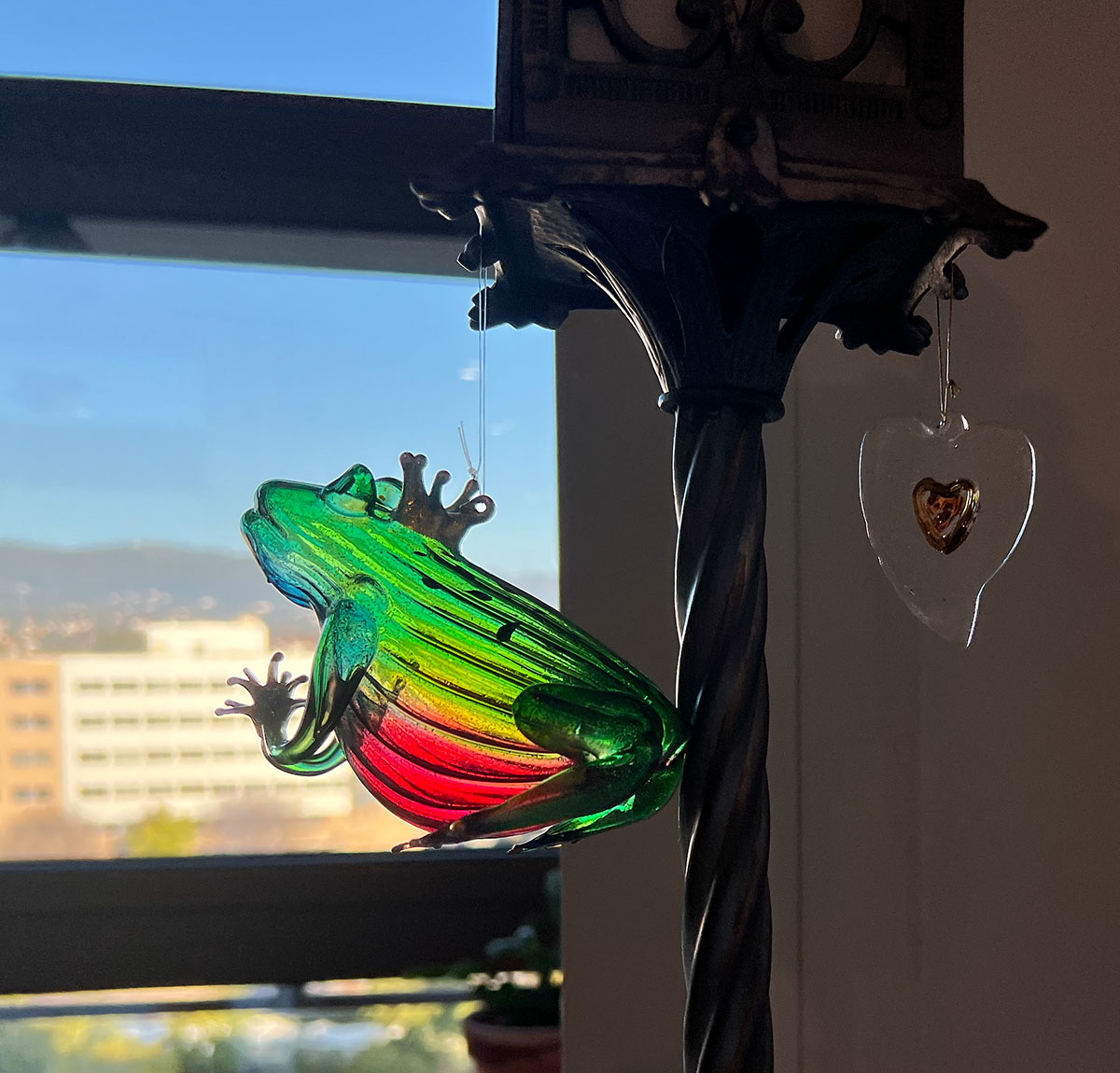 Less spruce Moose / Moose flojo