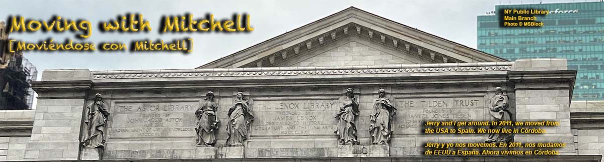 Moving with Mitchell