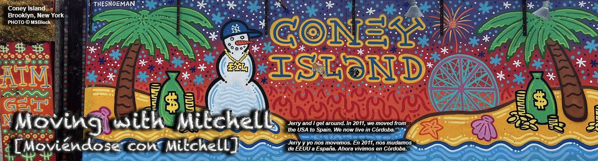 Moving with Mitchell