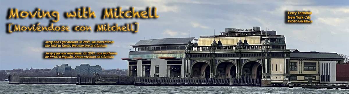 Moving with Mitchell