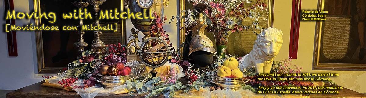 Moving with Mitchell