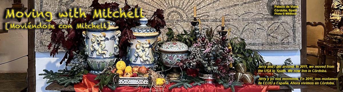 Moving with Mitchell