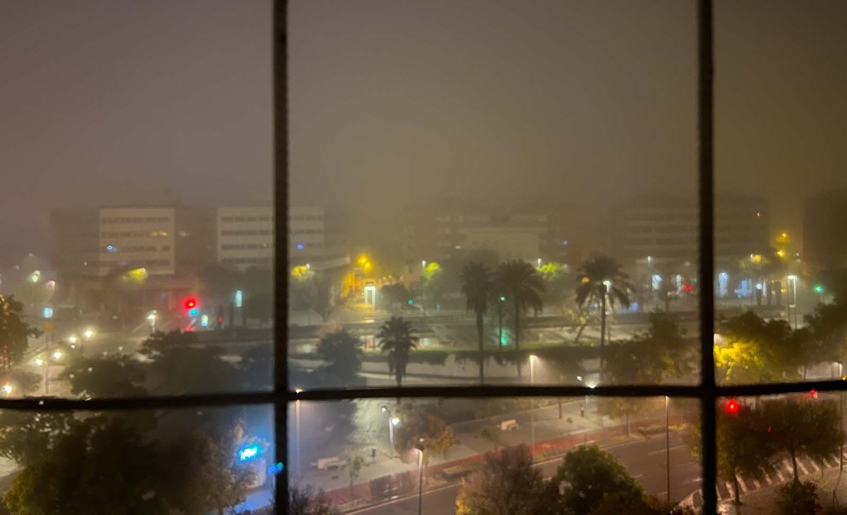 Black, white, & fuchsia / Negro, blanco, y fucsia