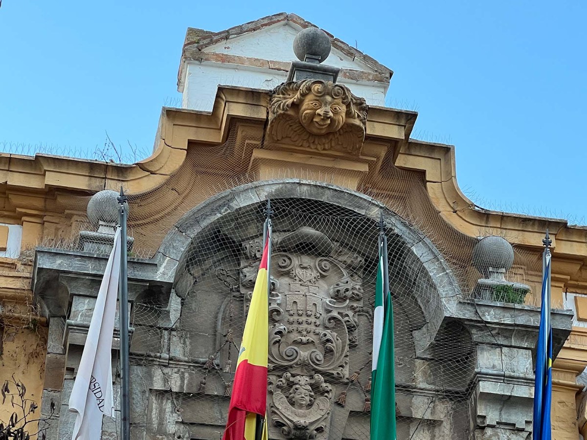 Paws for a whale in my coffee / Pausa (patas) para una ballena en mi café