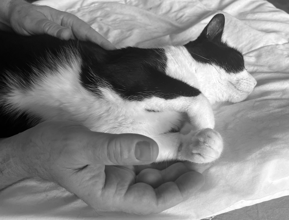 Big hands and not Tito Puente / Manos grandes y no Tito Puente