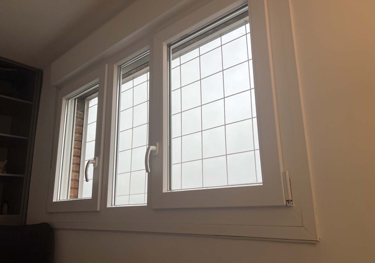 Color my world / Colorea mi mundo