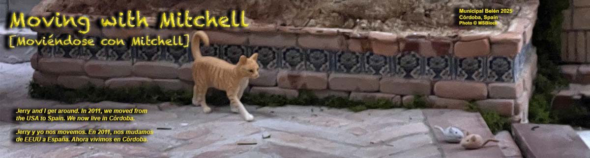 Moving with Mitchell