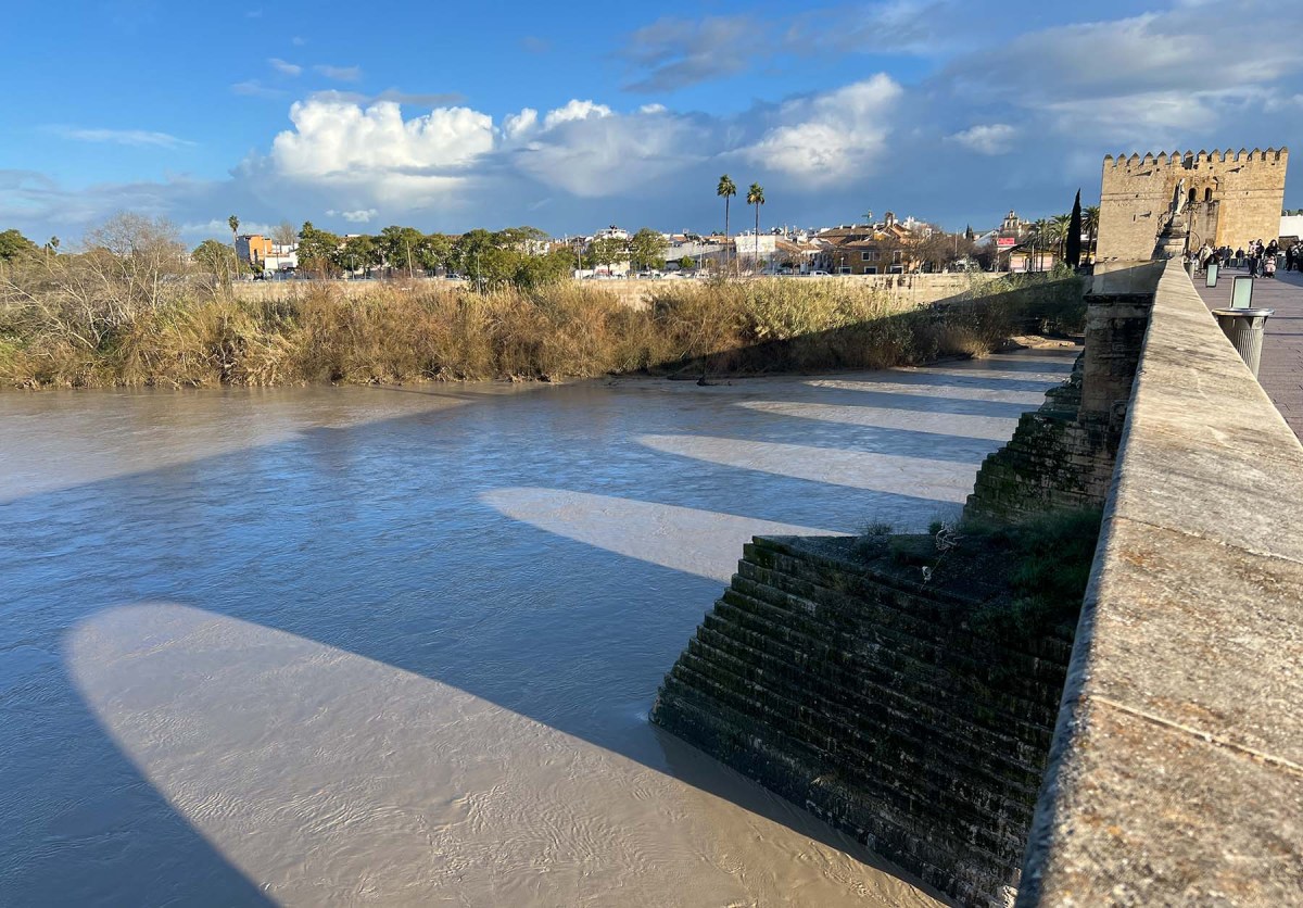 It was a small part / Fue una pequeña parte