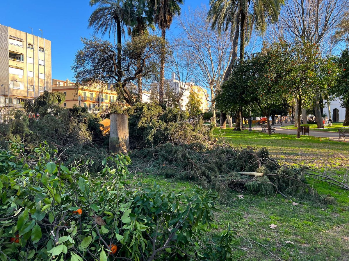 Careless the Mexican Hairless / Descuidado el perro pelón