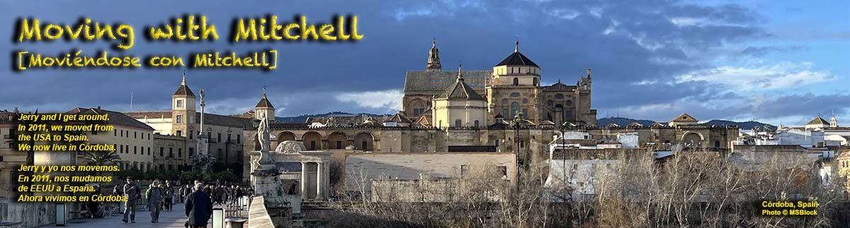 Moving with Mitchell