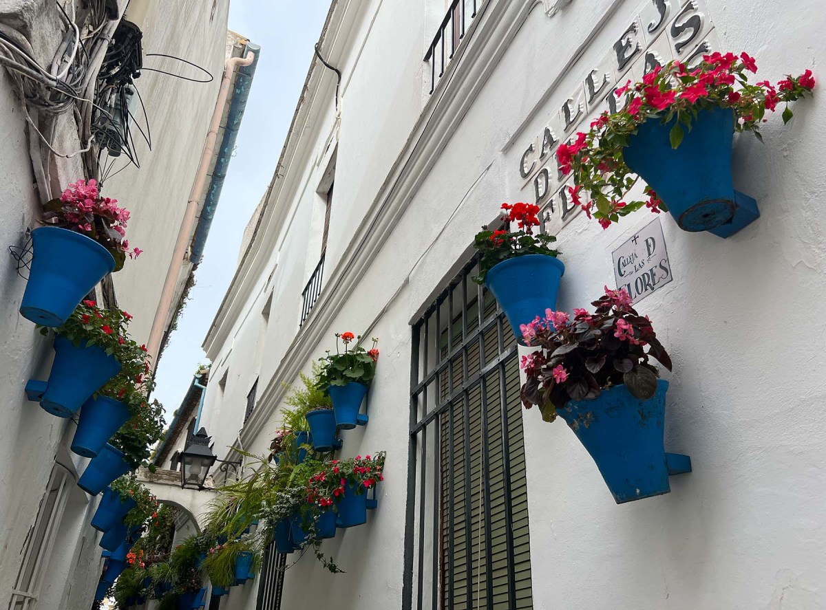 What a day I had today! / ¡Qué día he tenido hoy!