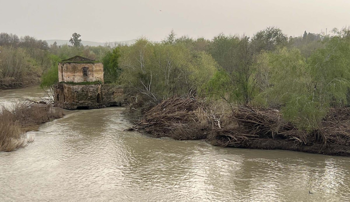 Ease-a-menorah doughy ma / Isa Menorá do y ma
